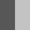 anthracite/silver