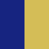 navy/gold