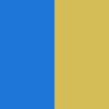 blue/gold