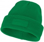 38676690-Czapka typu beanie Boreas z naszywką-Fern green