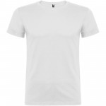 R65541Z1-Beagle koszulka męska z krótkim rękawem-Biały s