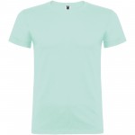 R65543B3-Beagle koszulka męska z krótkim rękawem-Zielony miętowy l