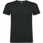 R65544B6-Beagle koszulka męska z krótkim rękawem-Dark Lead 3xl