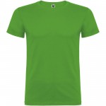 K65545CC-Beagle koszulka dziecięca z krótkim rękawem-Grass Green 3/4
