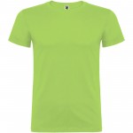 K65545RG-Beagle koszulka dziecięca z krótkim rękawem-Oasis Green 7/8