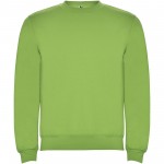 R10705R4-Batian ECO&nbsp;bluza unisex z okrągłym dekoltem-Oasis Green xl