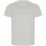 R66903S1-Golden koszulka męska z kr&oacute;tkim rękawem-Opal s