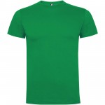 R65025U6-Dogo koszulka męska premium z krótkim rękawem-Tropical Green 3xl