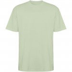 R65605Q6-Koszulka Bull, unisex, oversize, z kr&oacute;tkim rękawem-Mist Green 3xl
