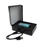 DWLSSD-SRE-1 TB-Kompaktowy dysk przenośny SSD-srebrny 1 TB